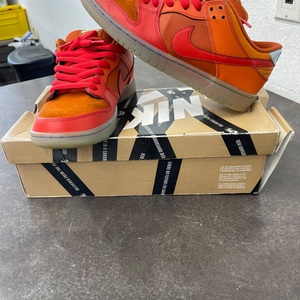 Nike Dunk Low SB Pro 304292-868 