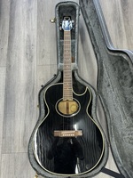 Washburn EA9B Single-Cut Acoustic Guitar w/ Hard Case