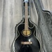 Washburn EA9B Single-Cut Acoustic Guitar w/ Hard Case