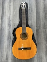 Washburn C40 Classical Acoustic Guitar w/ Soft Case