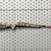 Winchester Exclusive Wildcat Mossy Oak Bottomland SR Rifle .22 LR 16.5 in