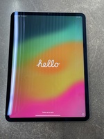 Apple iPad Pro 11" 256gb WiFi + 5G A2301 MHMV3LL/A