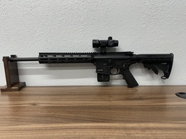 Smith & Wesson m&p 15-22 .22LR Semi Auto w Burris Red Dot