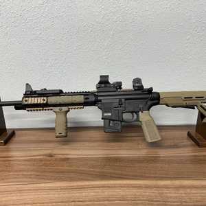 Smith & Wesson M&P 15-22 22LR SEMI AUTO 