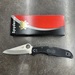 Spyderco Knives Pacific Salt 2 H1 Lockback Folding Pocket Knife 