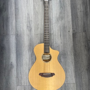 Breedlove Passport B35 Bass