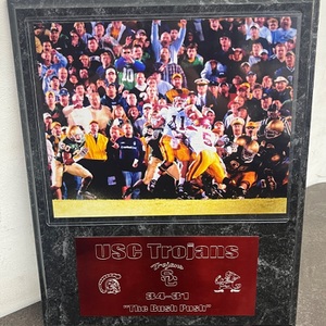 USC TROJANS REGGIE BUSH "THE BUSH PUSH" FRAME