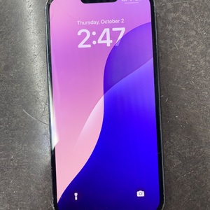 Apple iPhone 13 Pro Max 128GB MLKM3LL/A (Cracked Screen)