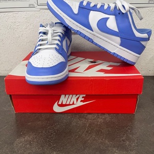 Nike Dunk Low Polar Blue DV0833 400 