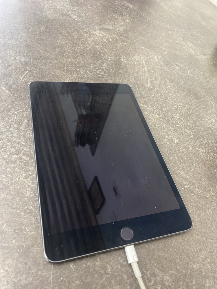 APPLE IPAD MINI 5TH GEN 64 GB WIFI ONLY NO CHARGER